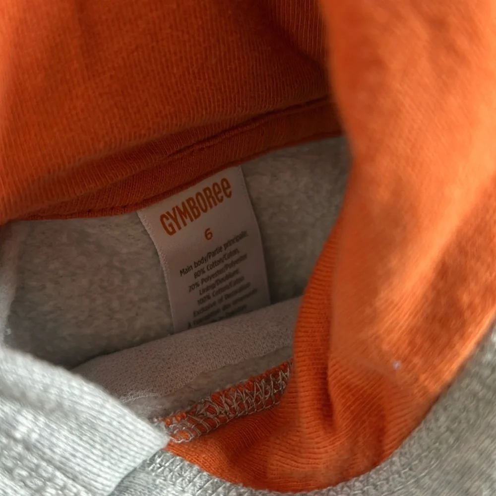 Gymboree Fall Harvest Autumn Pumpkin Jogger Sweatpants & Hoodie Sweatshirt